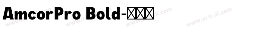 AmcorPro Bold字体转换